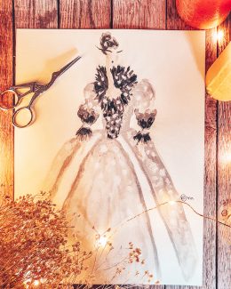 PEAU D'ÂNE-ROBE DE LA LUNE