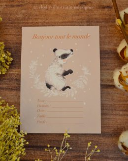 Cartes Étapes Naisssance