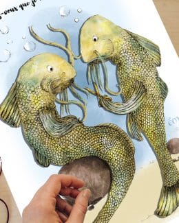 Les Poissons barbiers – Illustration poisson Fine Art